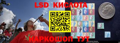 не бодяженный Гатчина