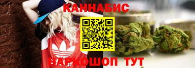 не бодяженный Гатчина