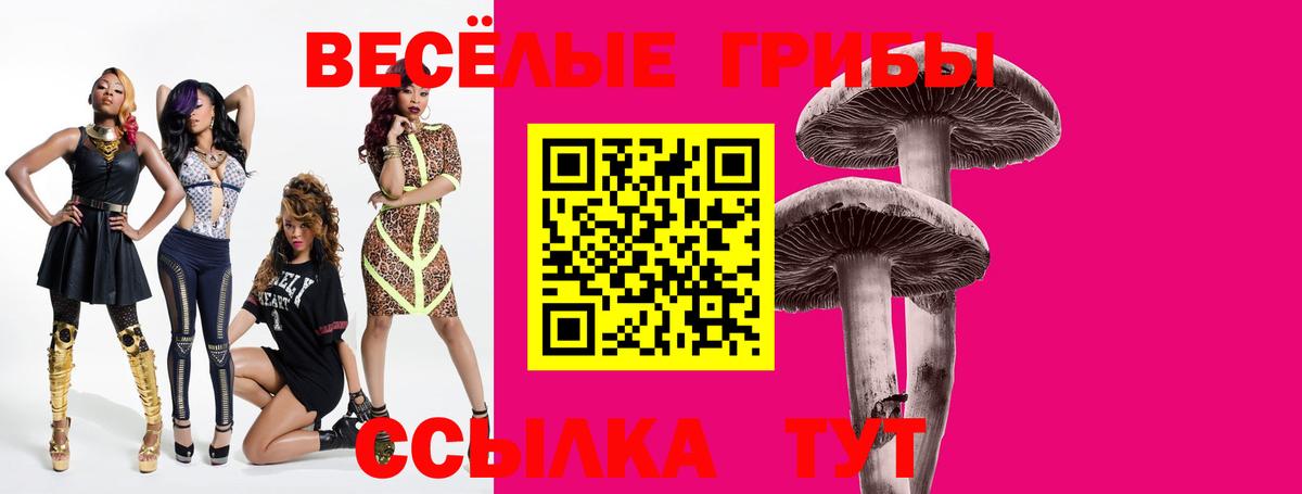 Псилоцибиновые грибы мицелий Нижний Тагил